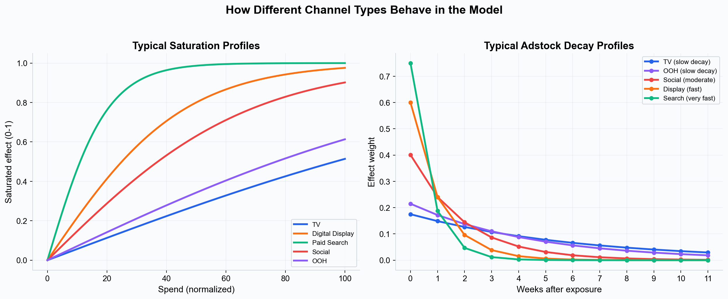 Typical saturation and decay profiles