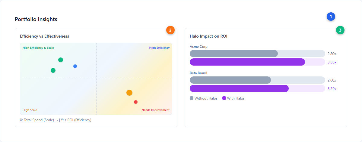 Portfolio Insights